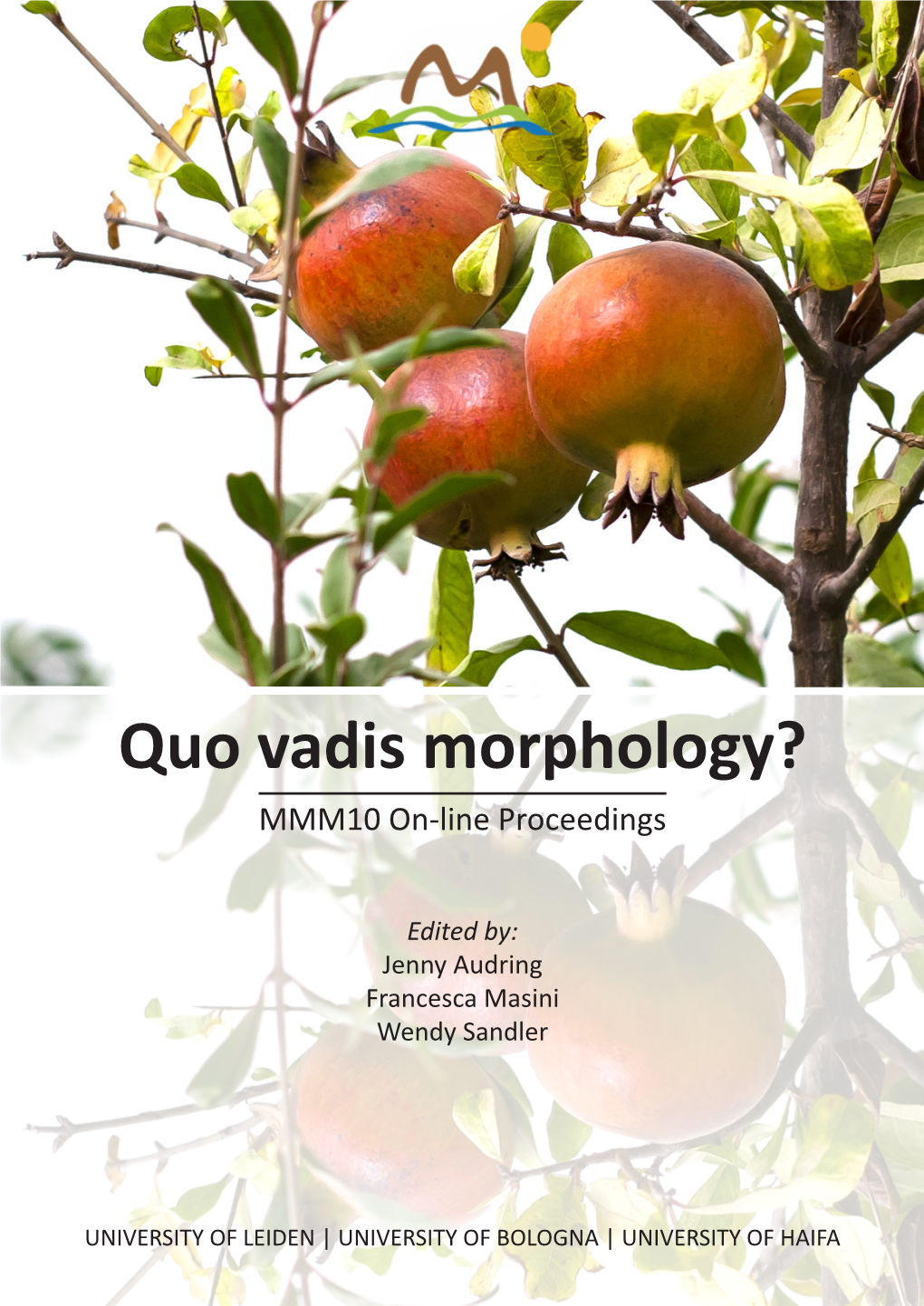 Quo Vadis Morphology? MMM10 On-Line Proceedings