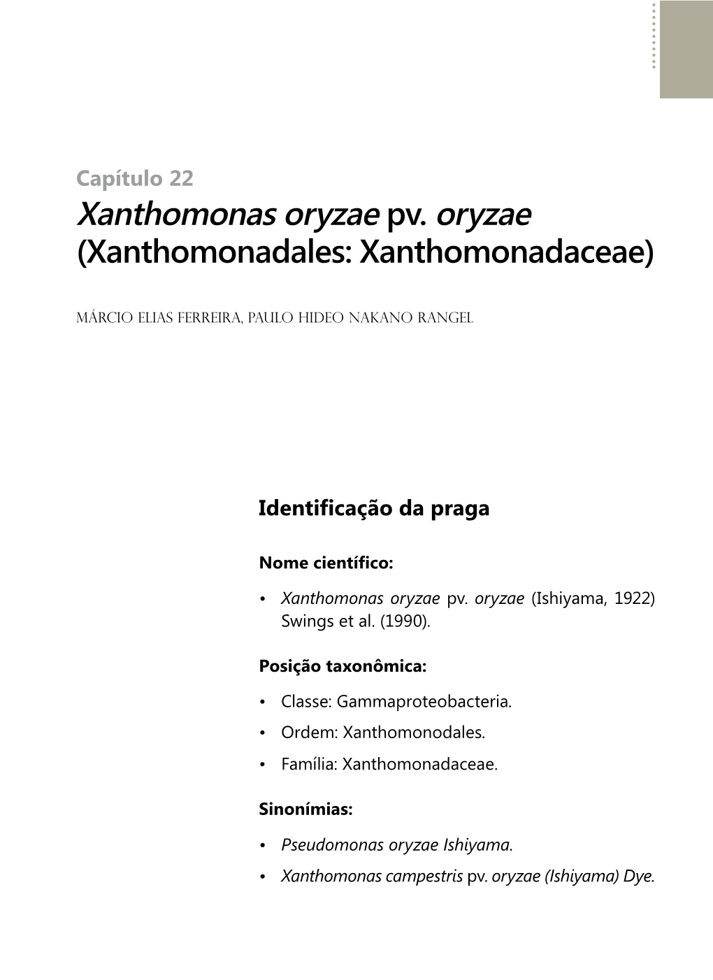 Xanthomonas Oryzae Pv. Oryzae (Xanthomonadales: Xanthomonadaceae)