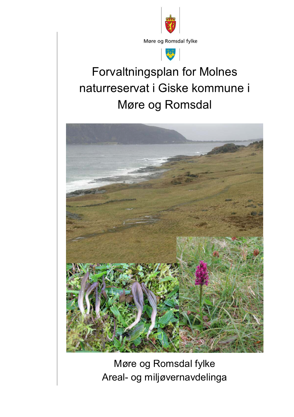 Forvaltningsplan for Molnes Naturreservat I Giske Kommune I Møre Og Romsdal