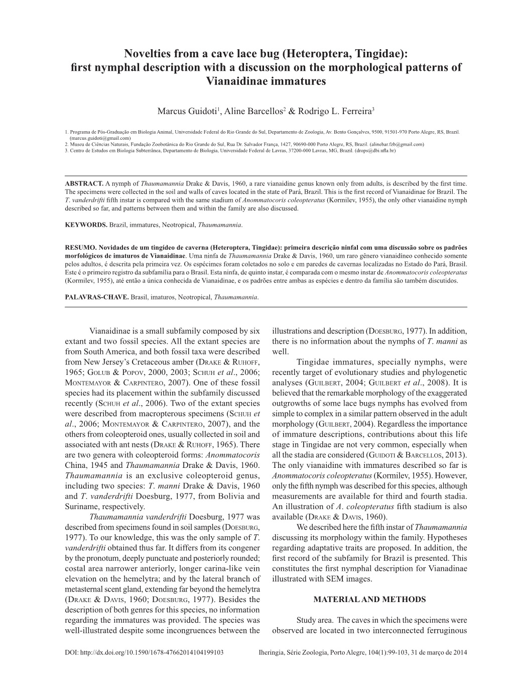 Novelties from a Cave Lace Bug (Heteroptera, Tingidae): First Nymphal Description with a Discussion on the Morphological Patterns of Vianaidinae Immatures