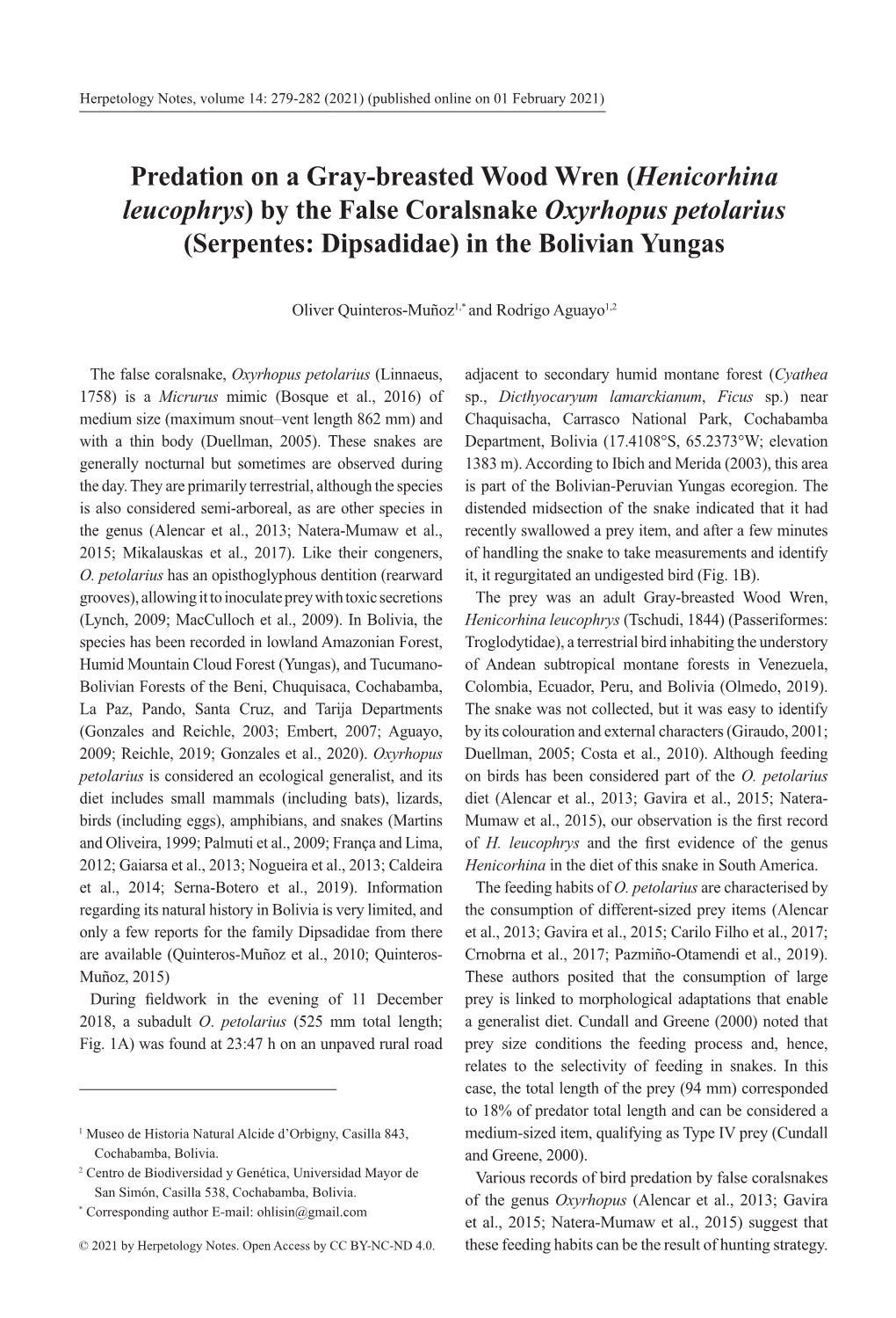 By the False Coralsnake Oxyrhopus Petolarius (Serpentes: Dipsadidae) in the Bolivian Yungas