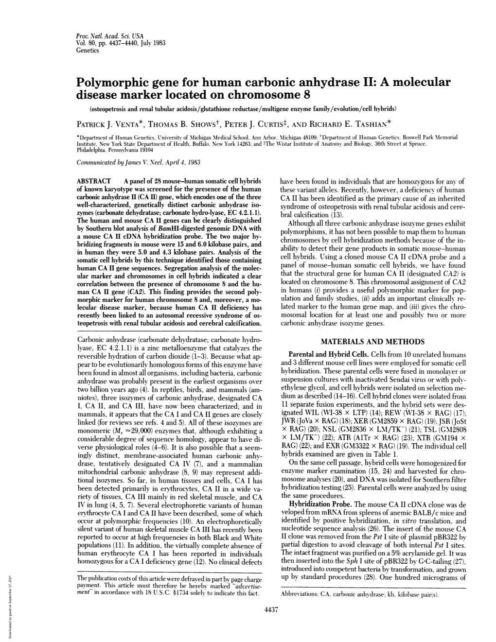 Polymorphic Gene for Human Carbonic Anhydrase II: a Molecular Disease