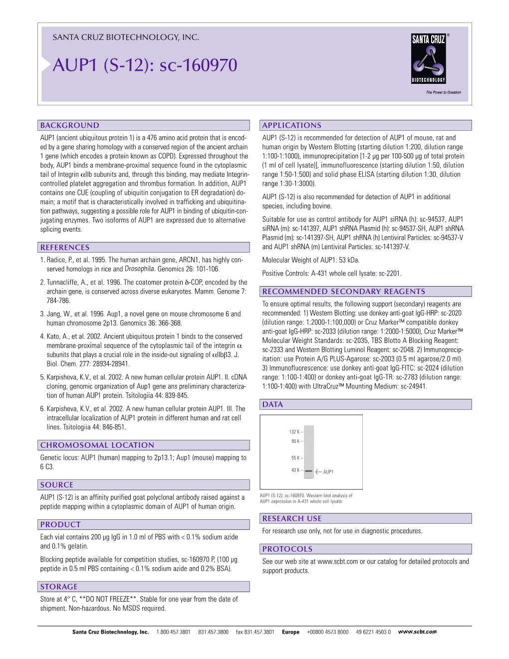 Datasheet Blank Template