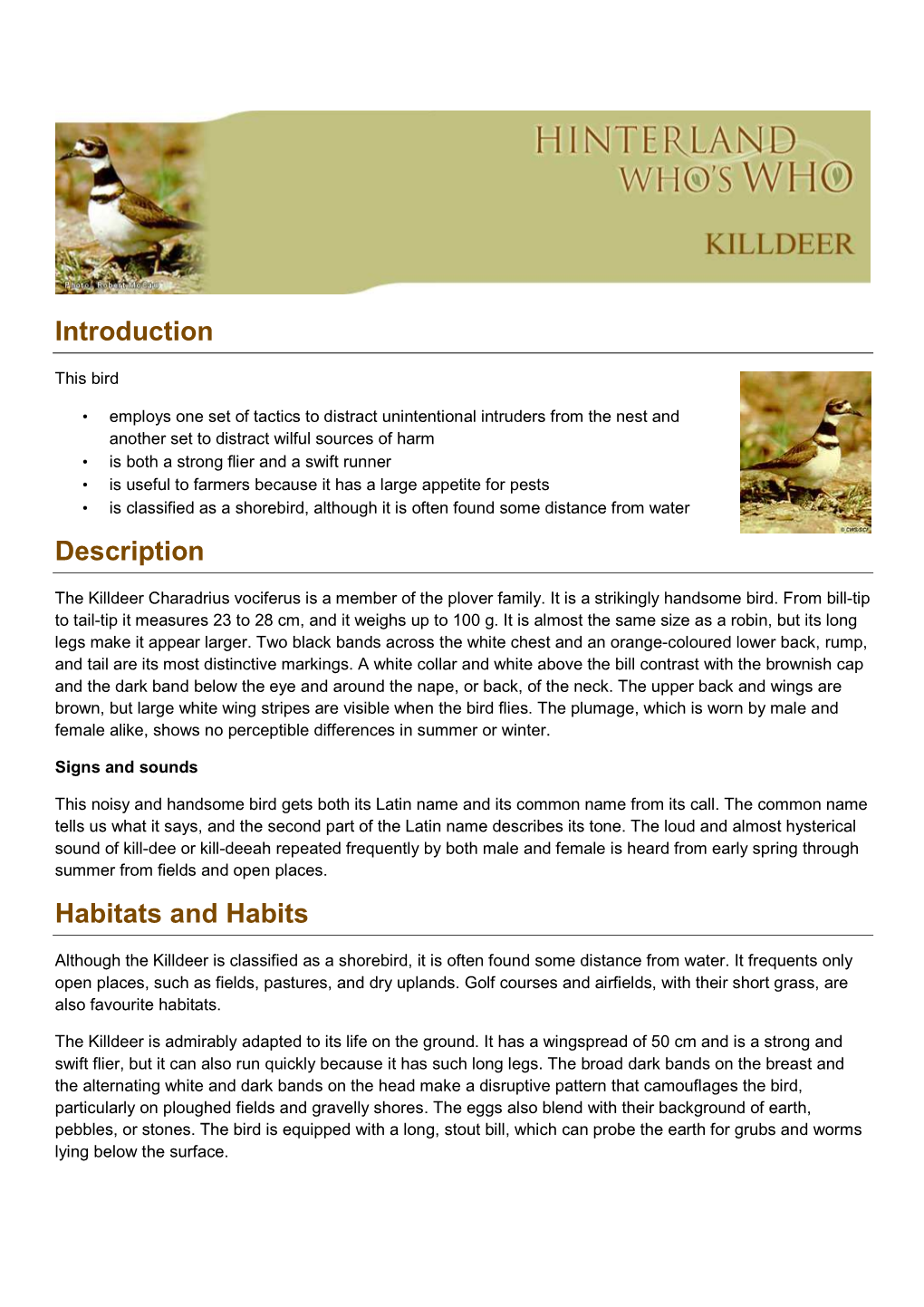 Killdeer-En.Pdf