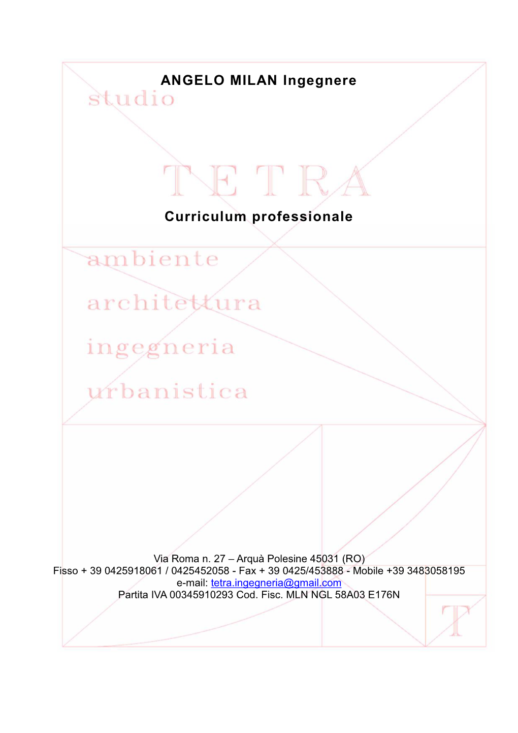 ANGELO MILAN Ingegnere Curriculum Professionale