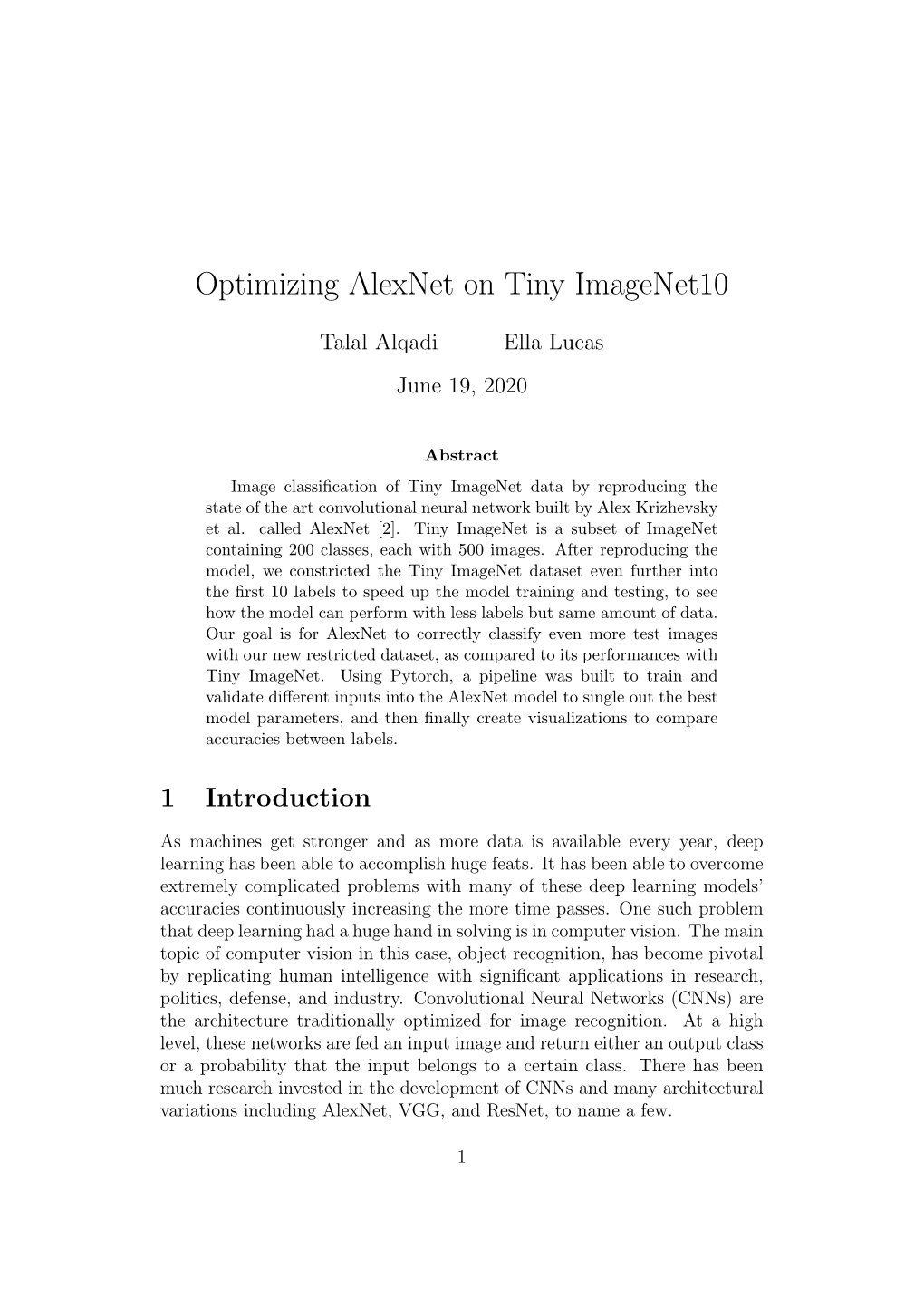 Optimizing Alexnet on Tiny Imagenet10