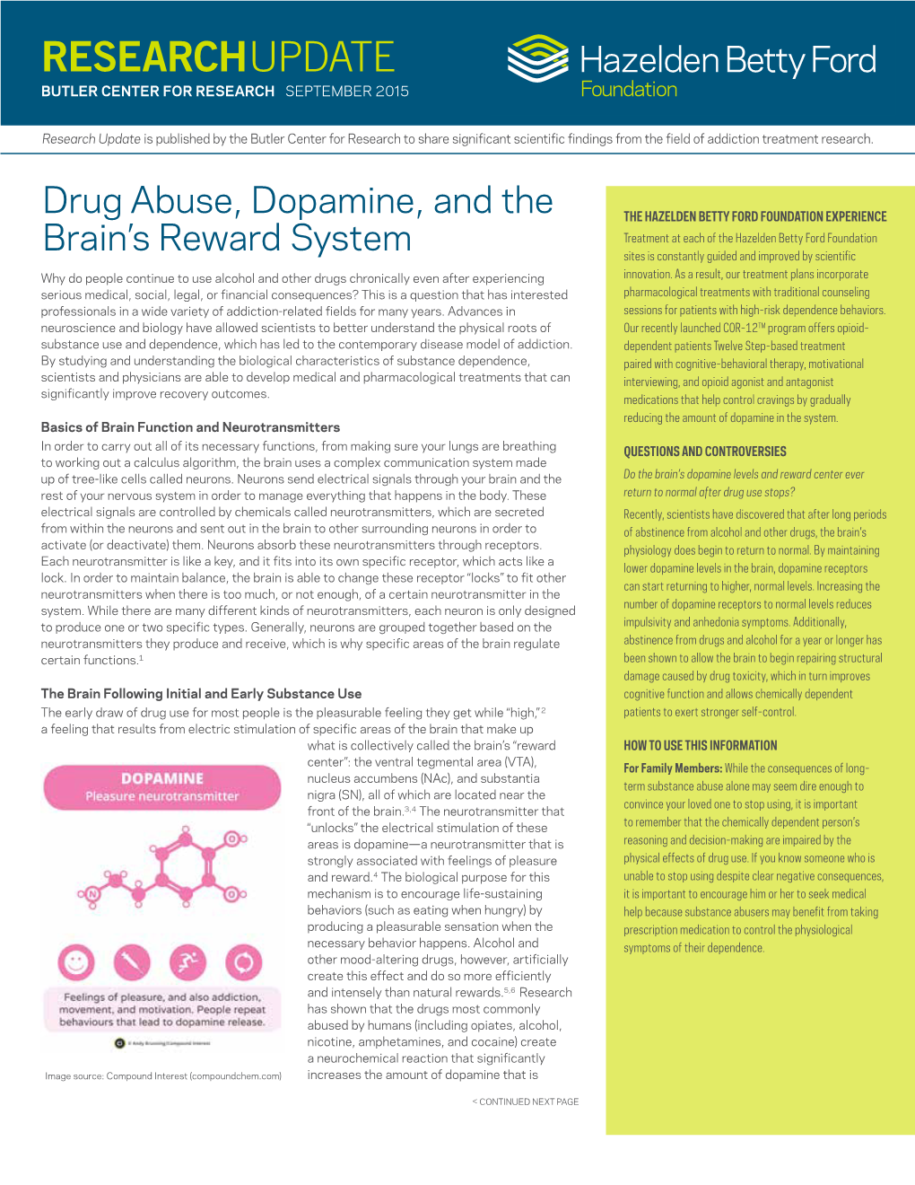 Drug Abuse, Dopamine, and the Brain's Reward System