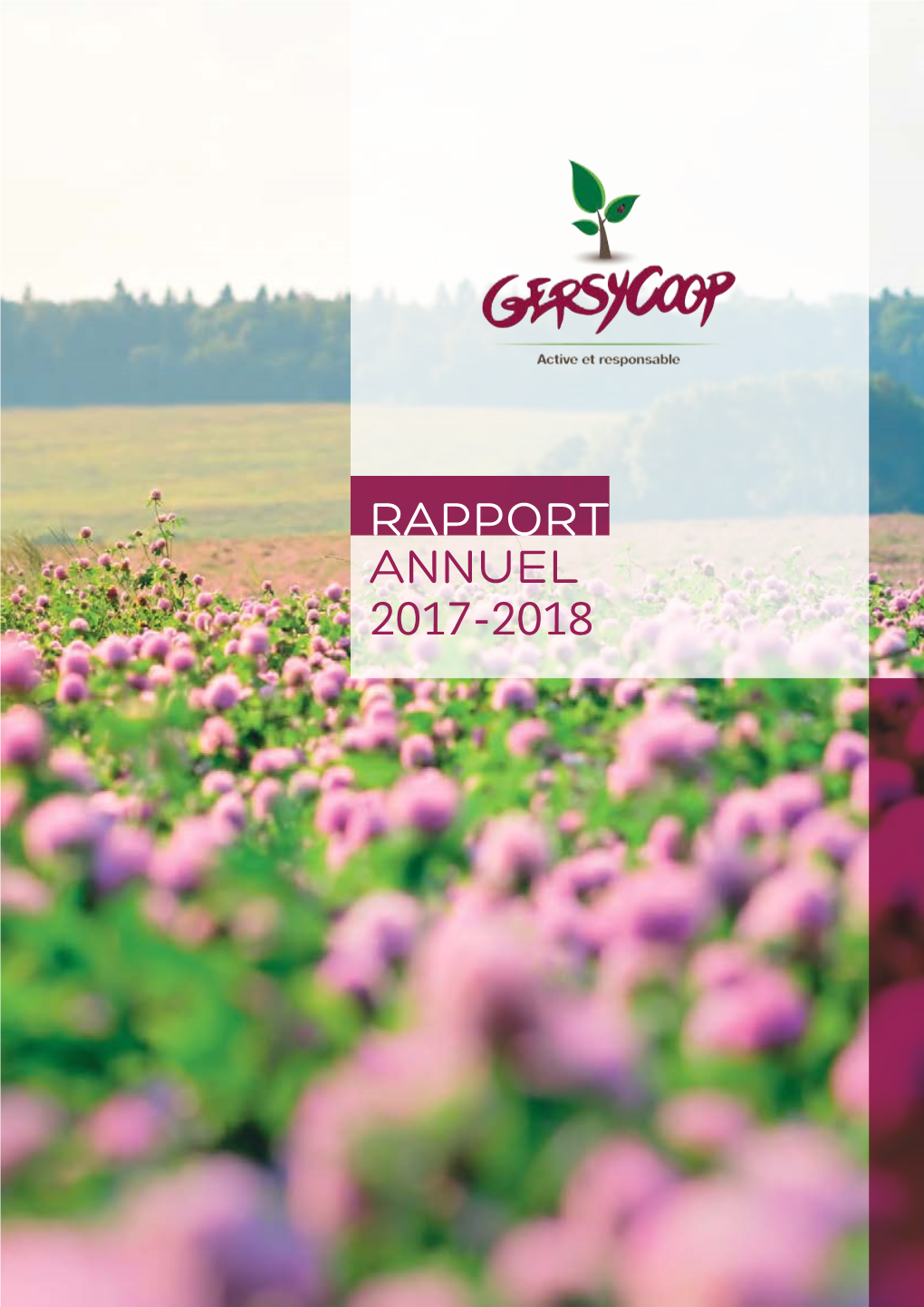 Rapport Annuel 2017-2018 Mot Du Président Et Du Directeur