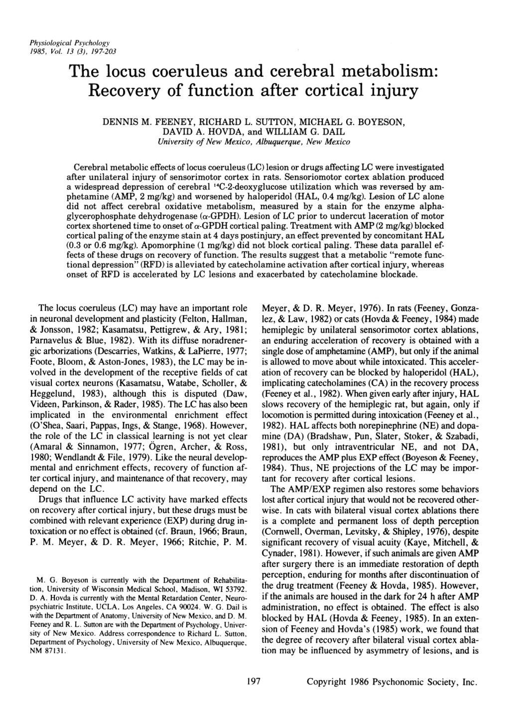 The Locus Coeruleus and Cerebral Metabolism: Recovery of Function After Cortical Injury