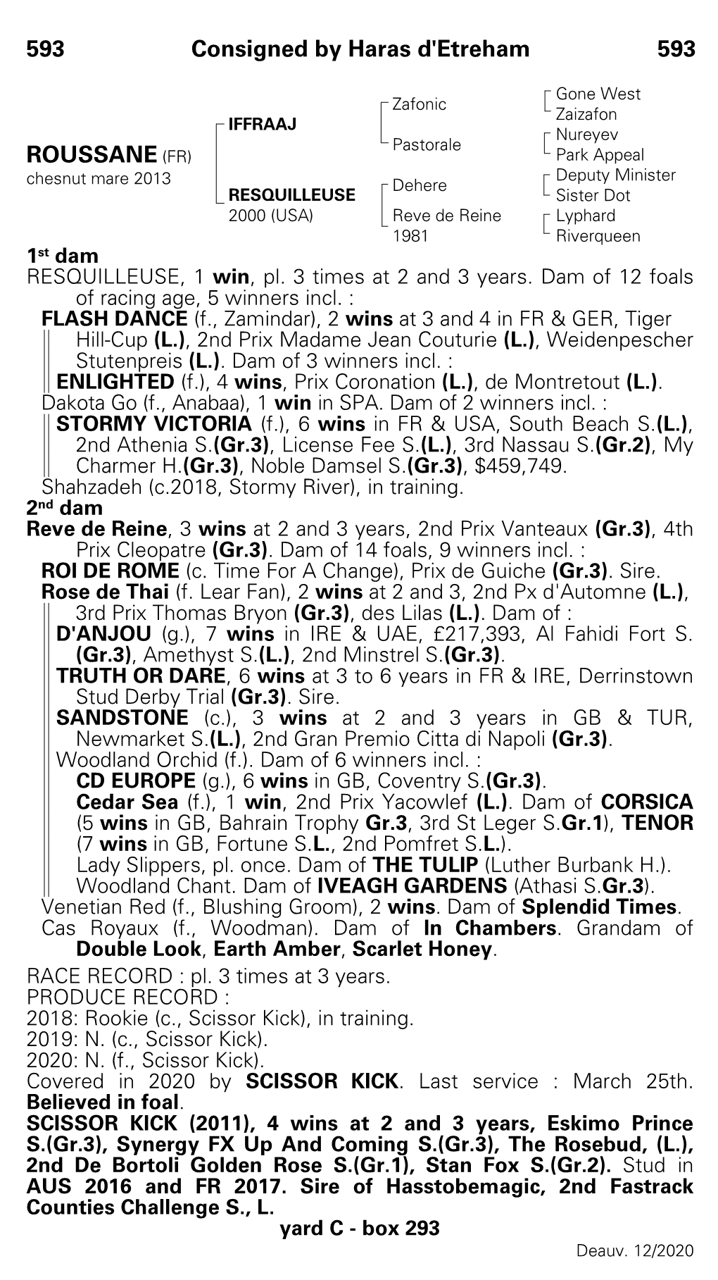 593 Consigned by Haras D'etreham 593 ROUSSANE (FR)