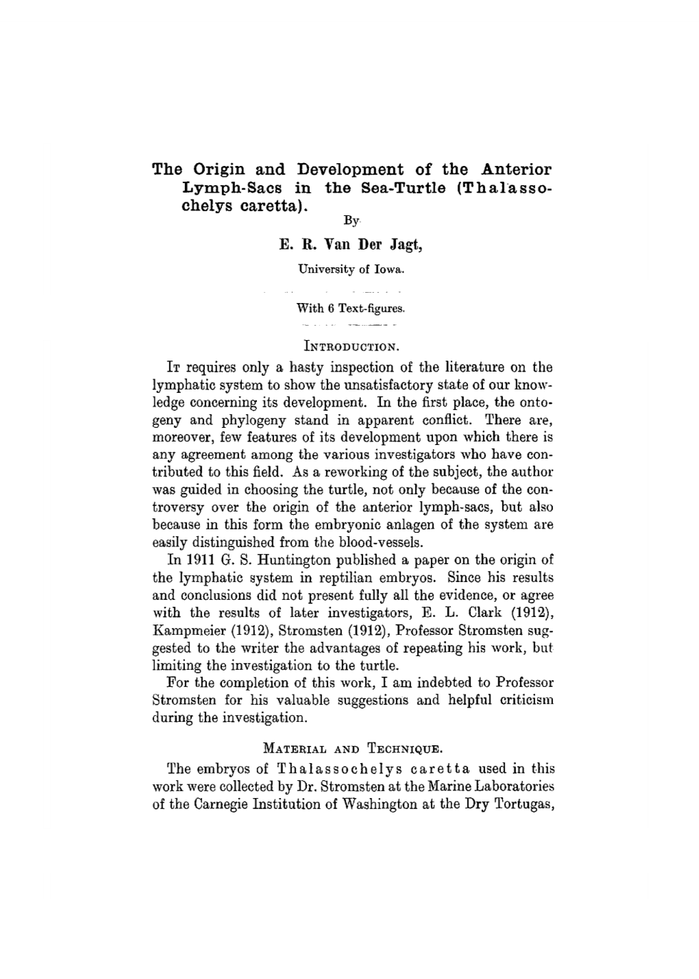 The Origin and Development of the Anterior Lymph-Sacs in the Sea-Turtle (Thalasso- Chelys Caretta)