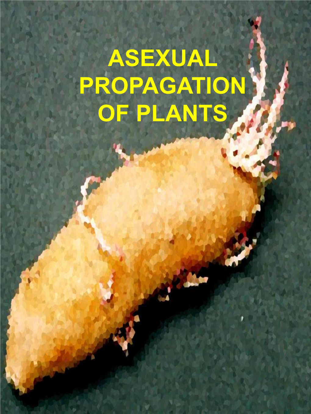 Asexual Propagation of Plants Introduction - Asexual Propagation of Plants