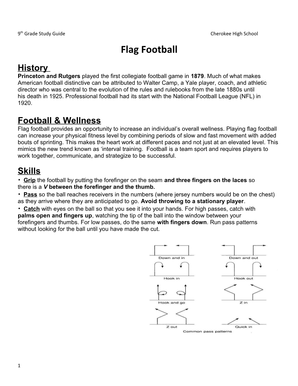 9Th Grade Study Guide Cherokee High School s1