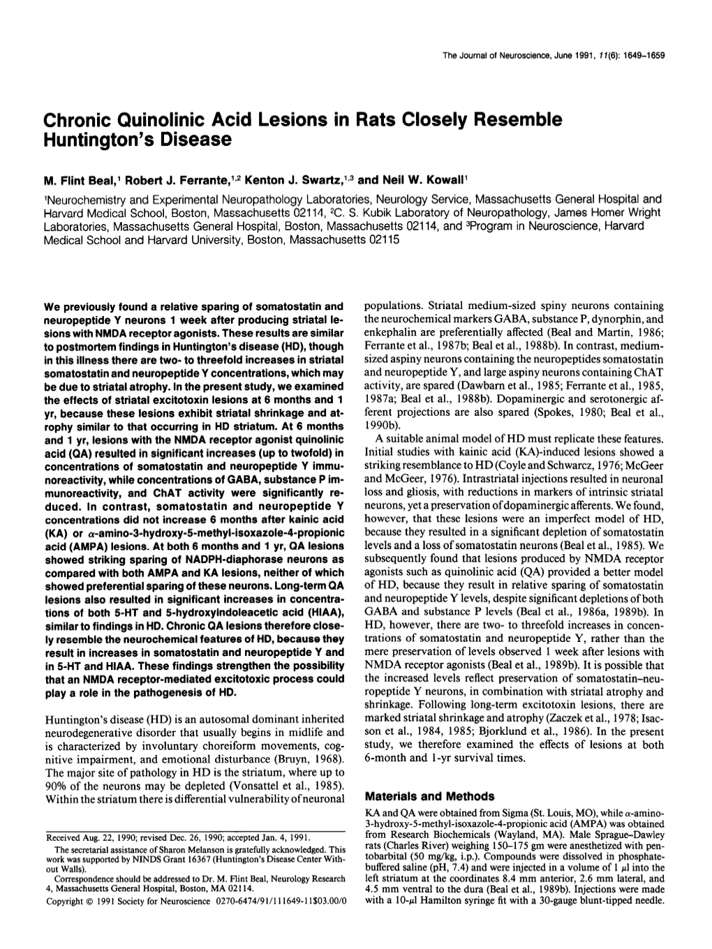 Chronic Quinolinic Acid Lesions in Rats Closely Resemble Huntington’S Disease