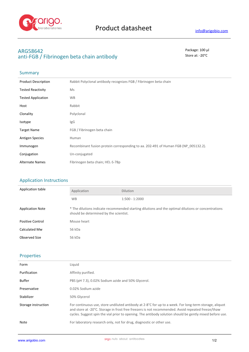 Anti-FGB / Fibrinogen Beta Chain Antibody (ARG58642)