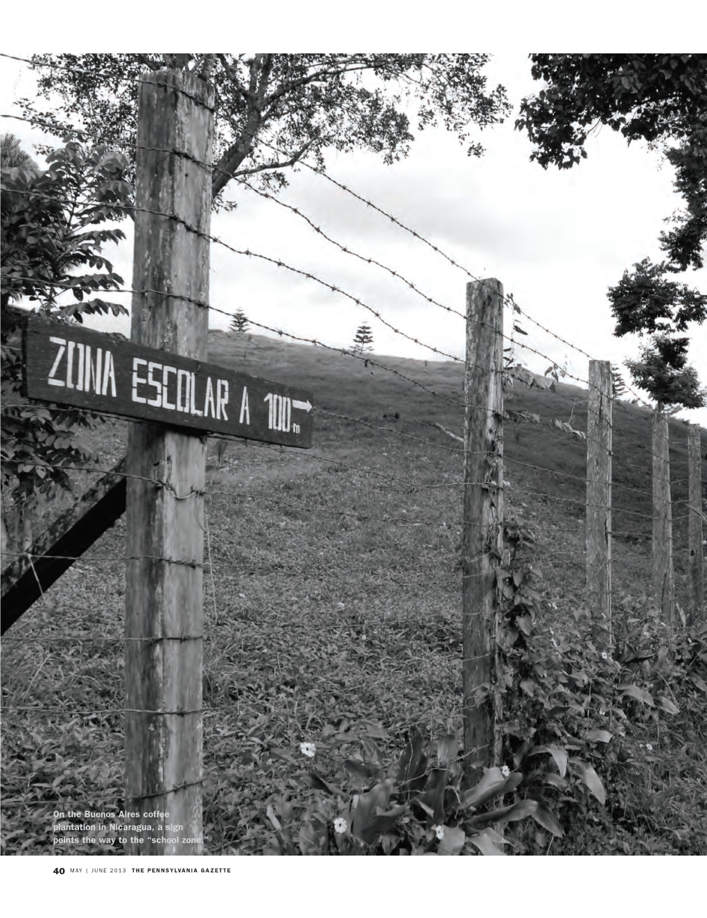 On the Buenos Aires Coffee Plantation in Nicaragua, a Sign Points the Way to the “School Zone.”