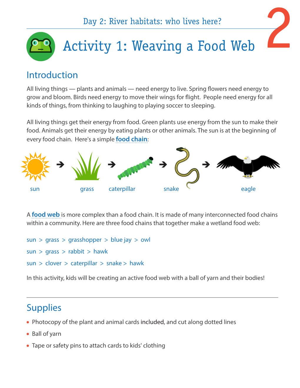 Weaving a Food Web 2 Introduction All Living Things — Plants and Animals — Need Energy to Live