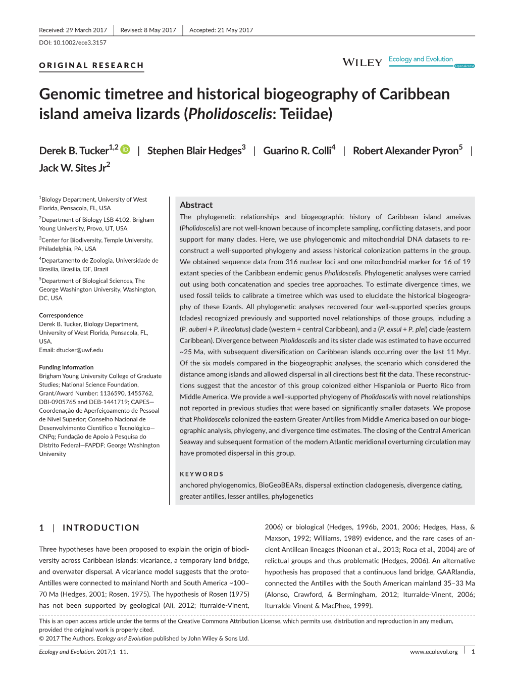 Genomic Timetree and Historical Biogeography of Caribbean Island Ameiva Lizards (Pholidoscelis: Teiidae)