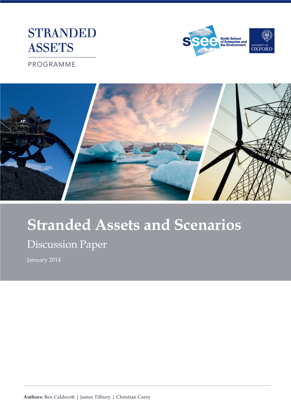 Stranded Assets and Scenarios Discussion Paper January 2014