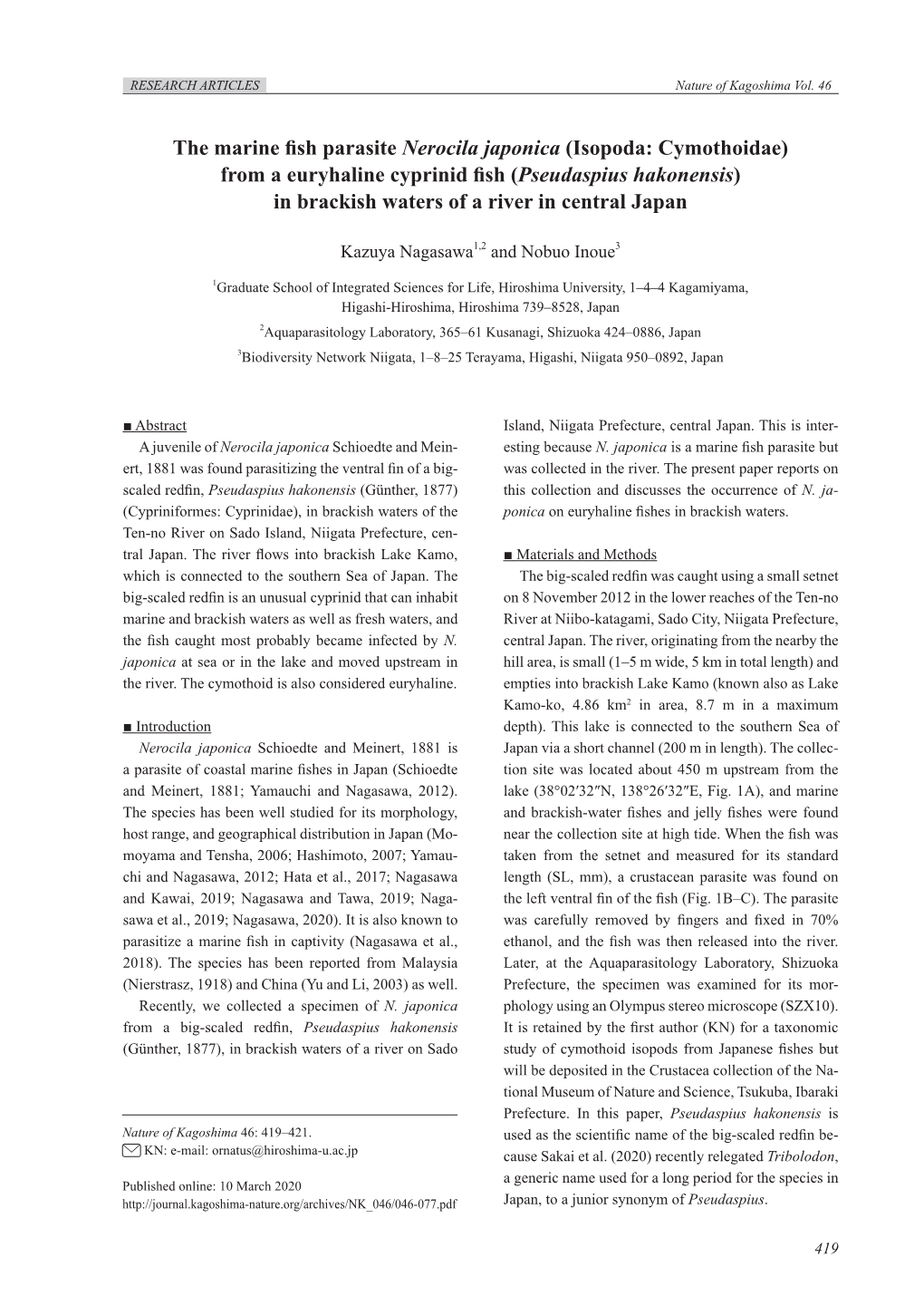 The Marine Fish Parasite Nerocila Japonica (Isopoda: Cymothoidae