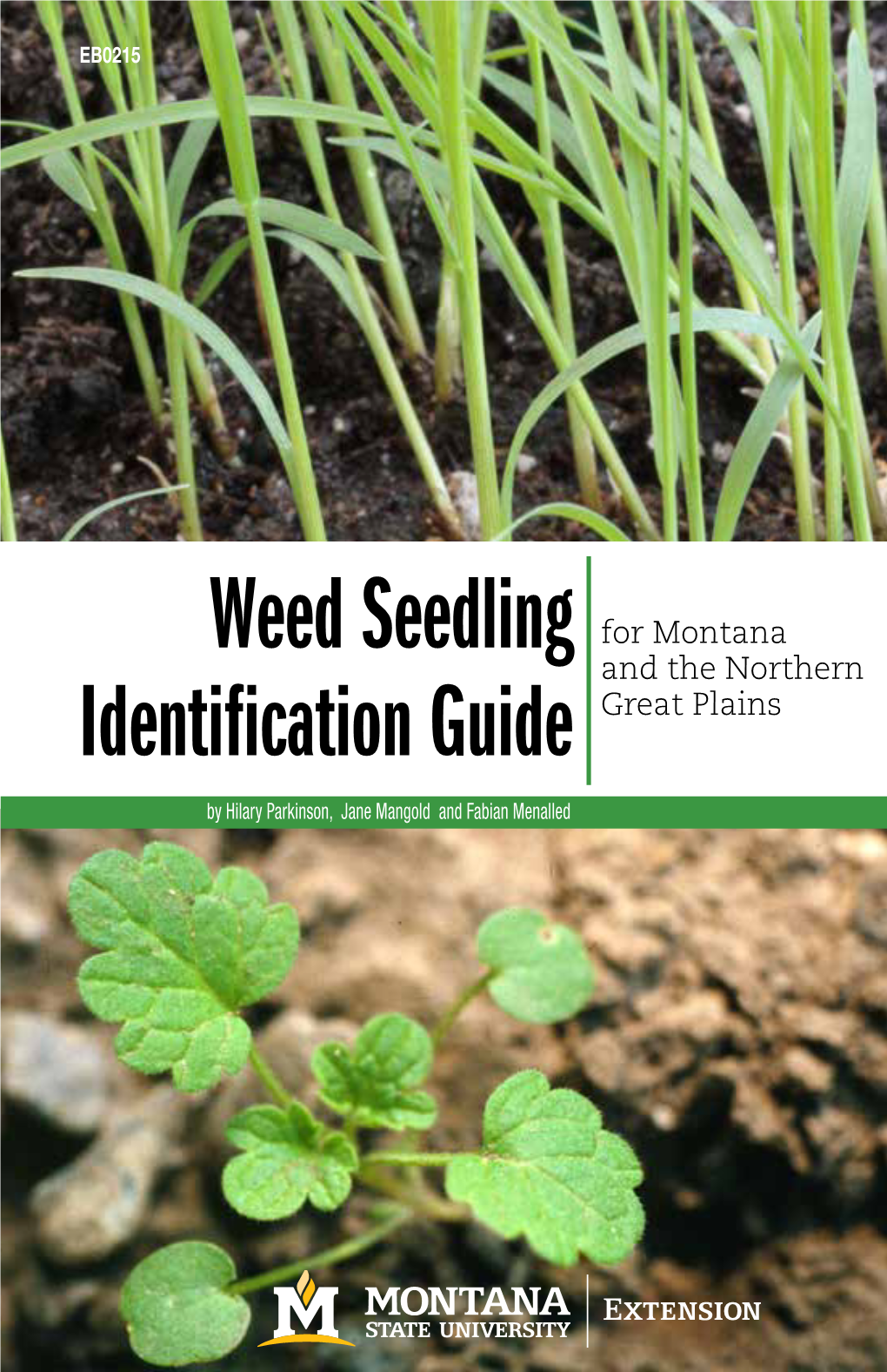 Weed Seedling Identification Guide This Guide Is Not a Complete List of All the Weeds to Be Found in Croplands Or Rangelands