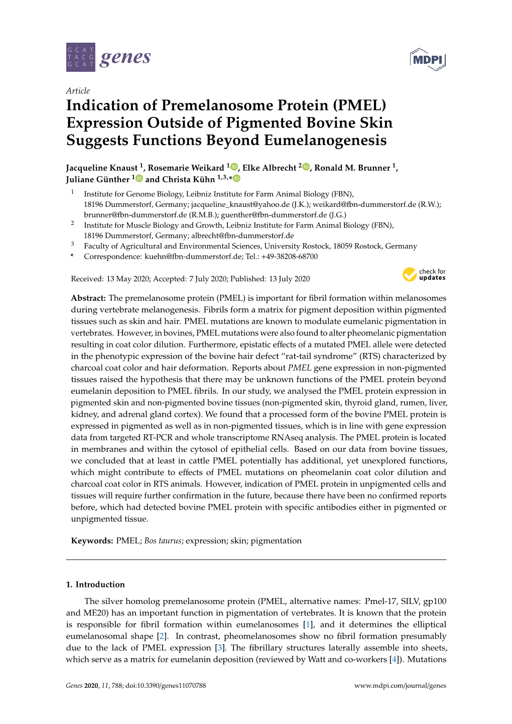 (PMEL) Expression Outside of Pigmented Bovine Skin Suggests Functions Beyond Eumelanogenesis