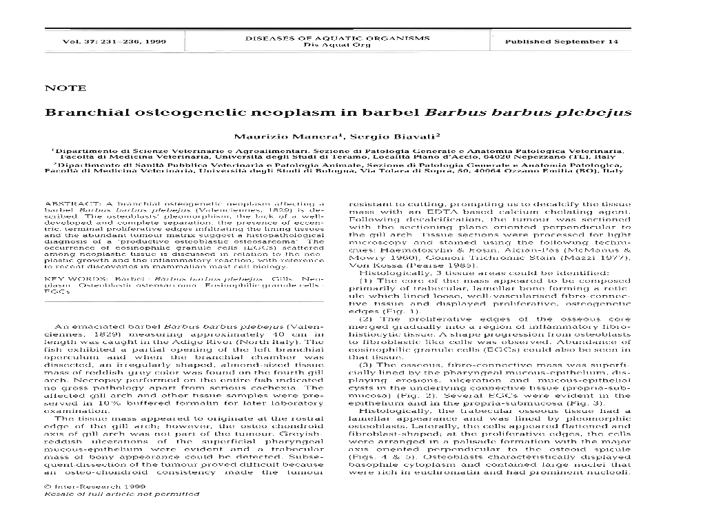 Branchial Osteogenetic Neoplasm in Barbel Barbus Barbusplebejus