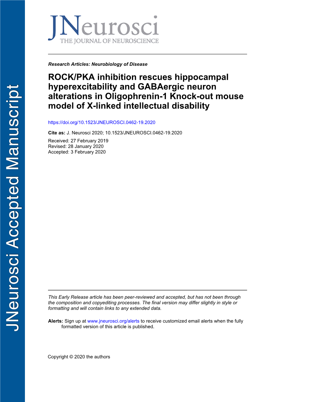 ROCK/PKA Inhibition Rescues Hippocampal Hyperexcitability And