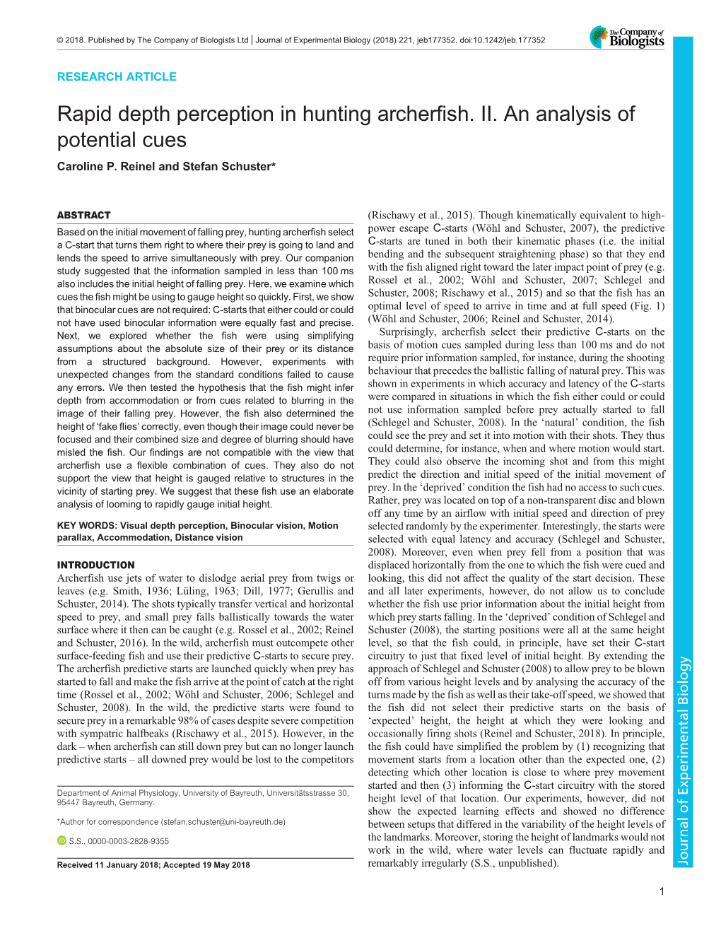 Rapid Depth Perception in Hunting Archerfish. II. an Analysis of Potential Cues Caroline P