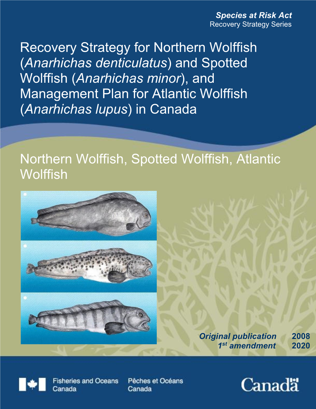 Recovery Strategy for Northern Wolffish (Anarhichas Denticulatus)