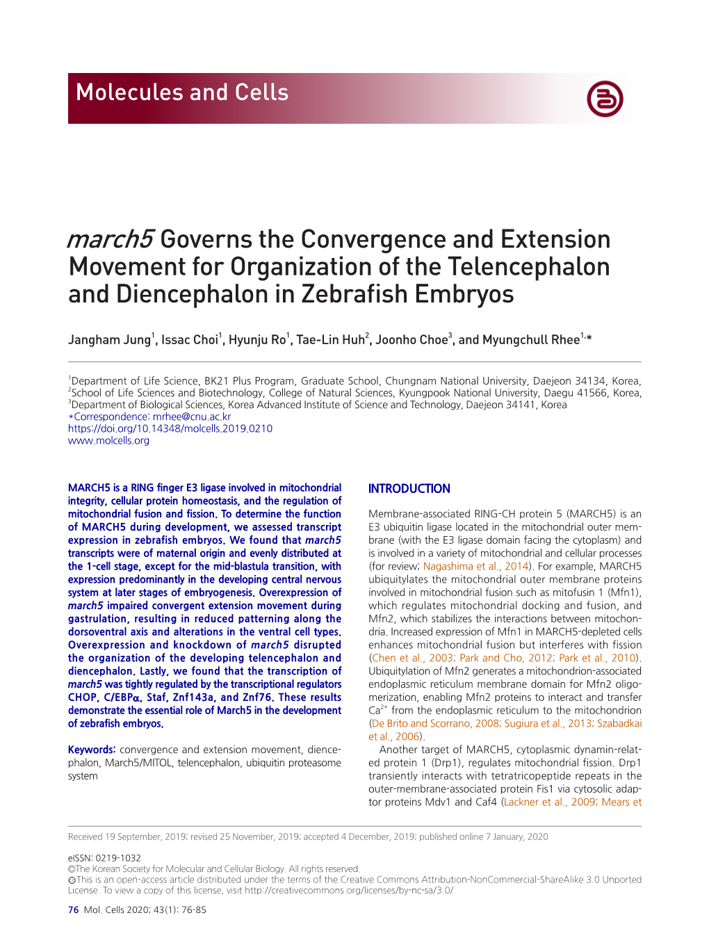 March5 Governs the Convergence and Extension Movement for Organization of the Telencephalon and Diencephalon in Zebrafish Embryos