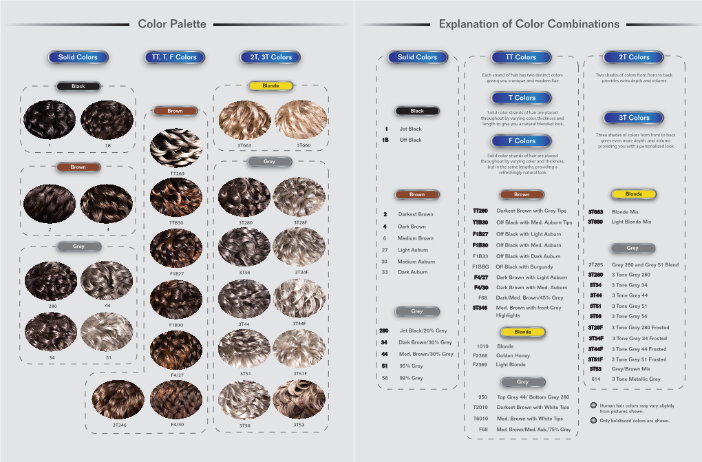 Foxy Silver Color Chart