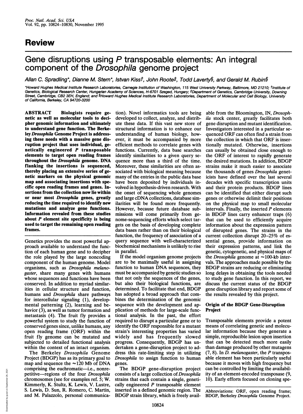 Review Gene Disruptions Using P Transposable Elements: an Integral Component of the Drosophila Genome Project Allan C