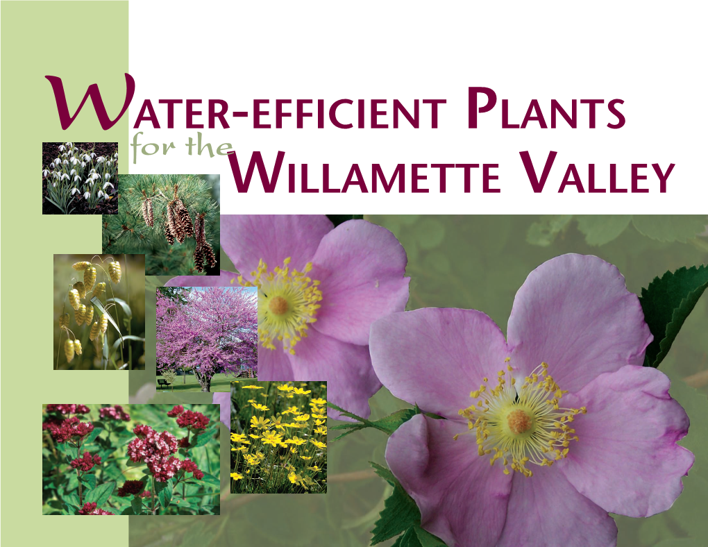 Water-Efficient Plants Willamette Valley