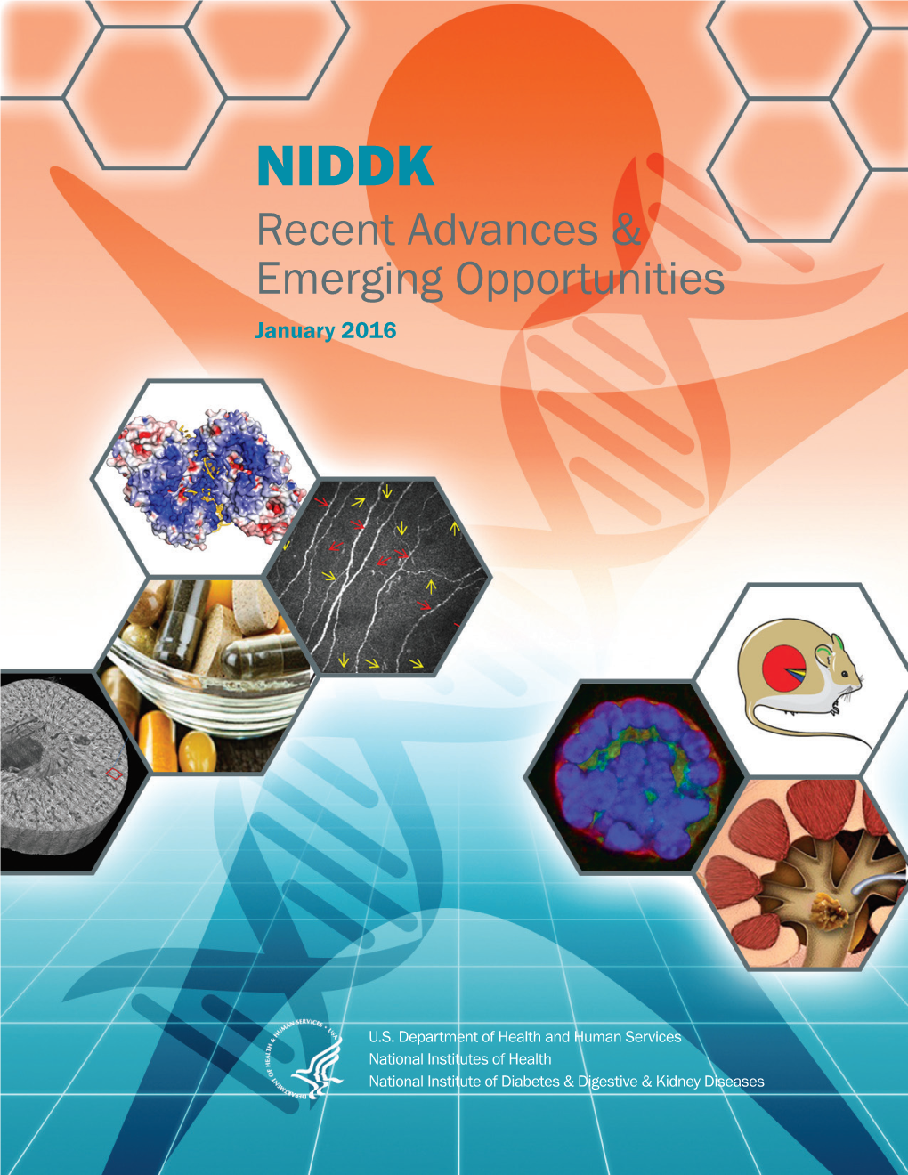 NIDDK Recent Advances and Emerging Opportunities