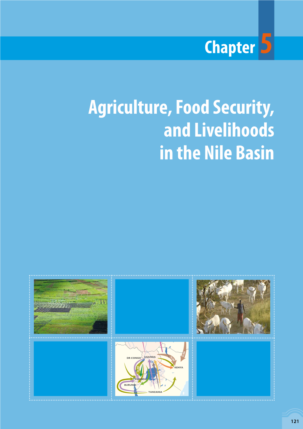 Agriculture, Food Security, and Livelihoods in the Nile Basin