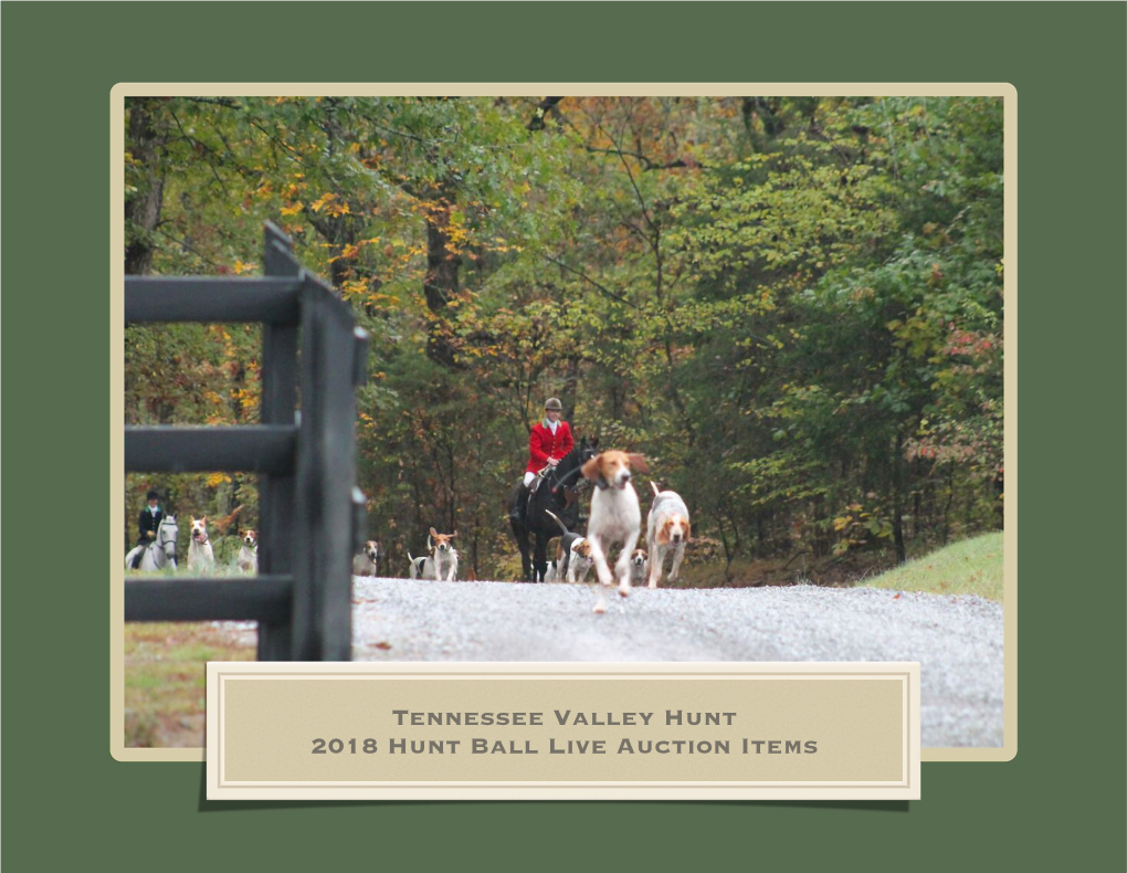 Tennessee Valley Hunt 2018 Hunt Ball Live Auction Items