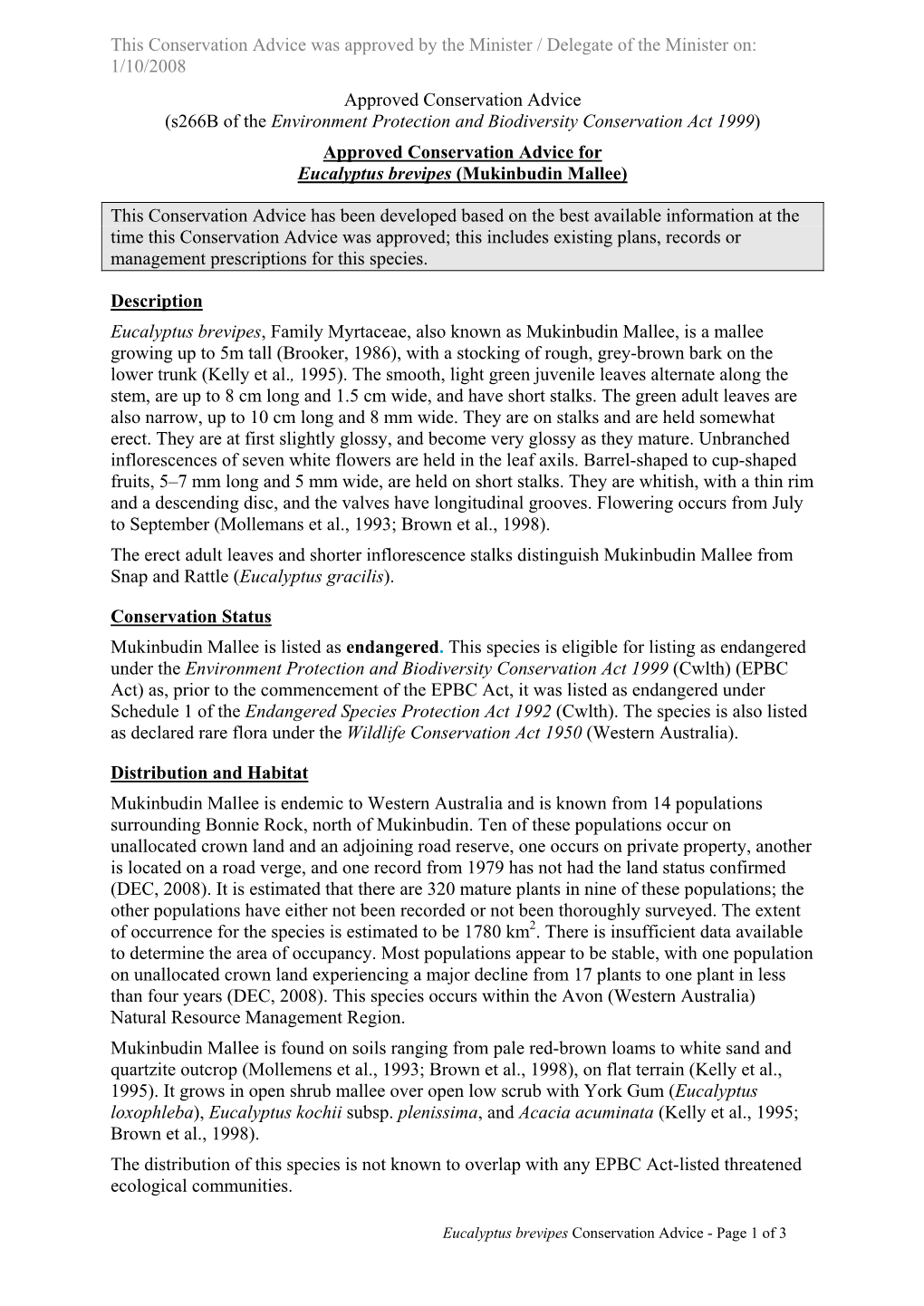 Approved Conservation Advice for Eucalyptus Brevipes (Mukinbudin Mallee)