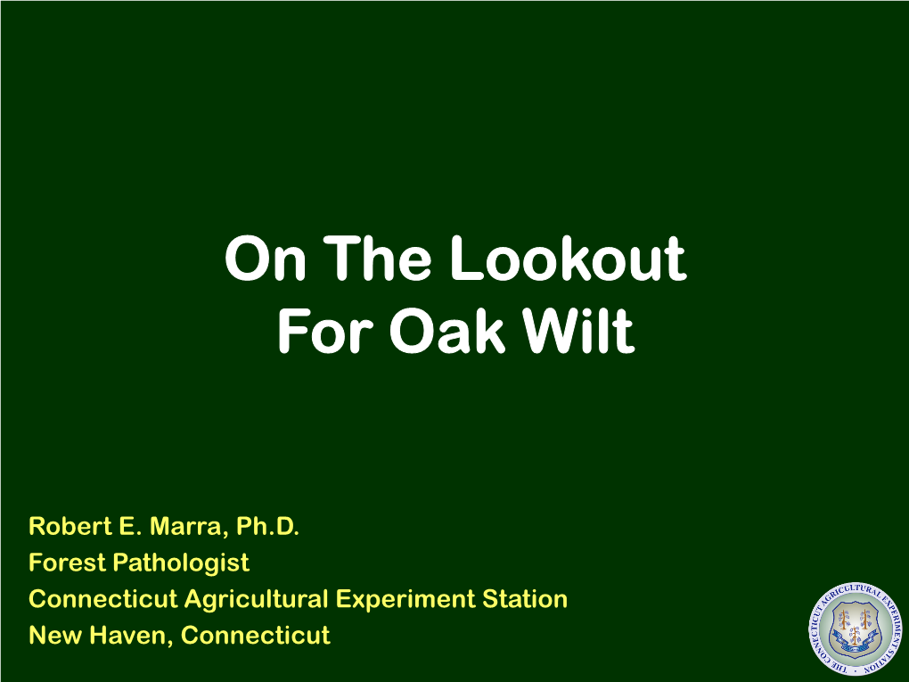 On the Lookout for Oak Wilt