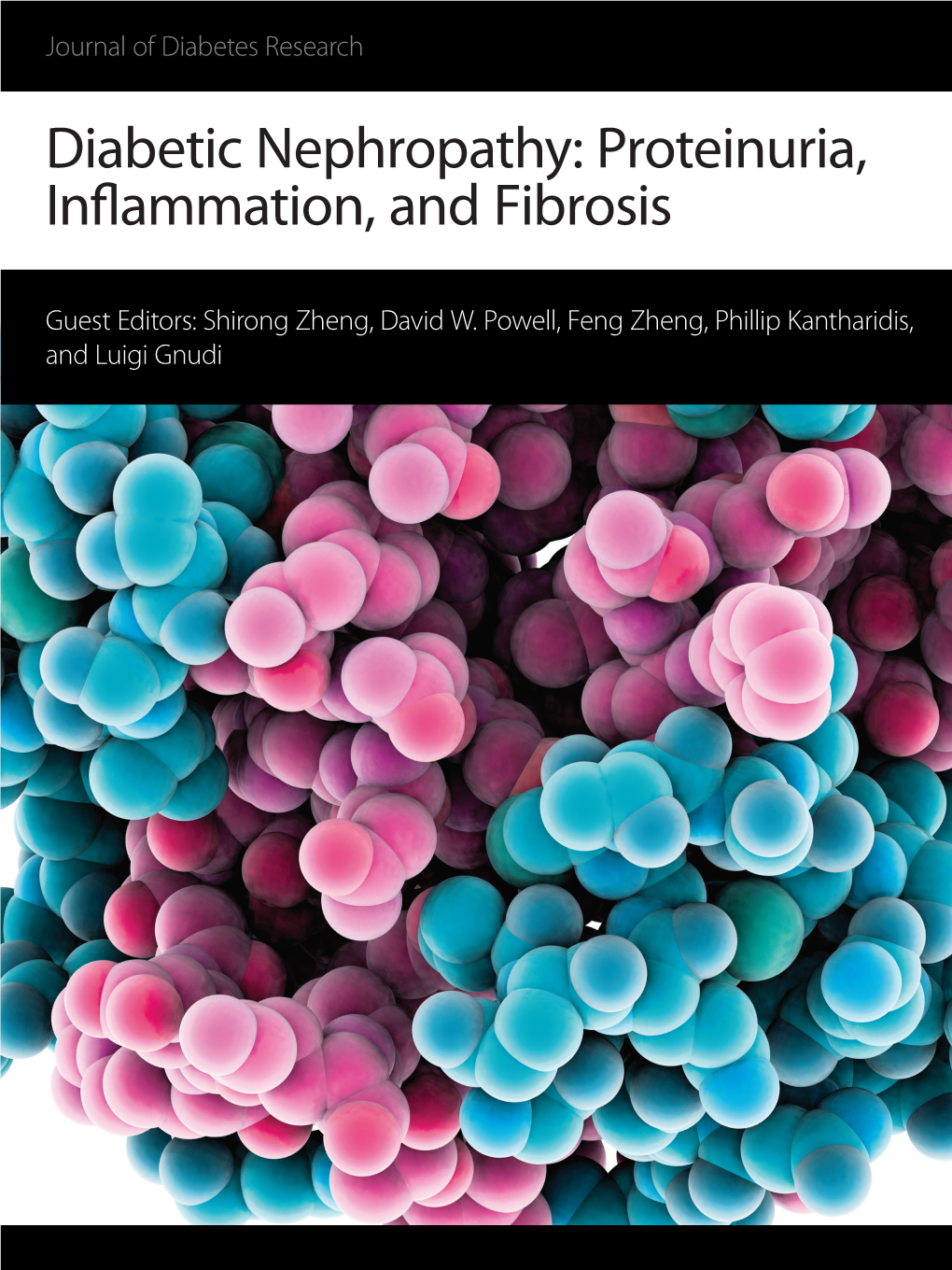 Diabetic Nephropathy: Proteinuria, Inflammation, and Fibrosis