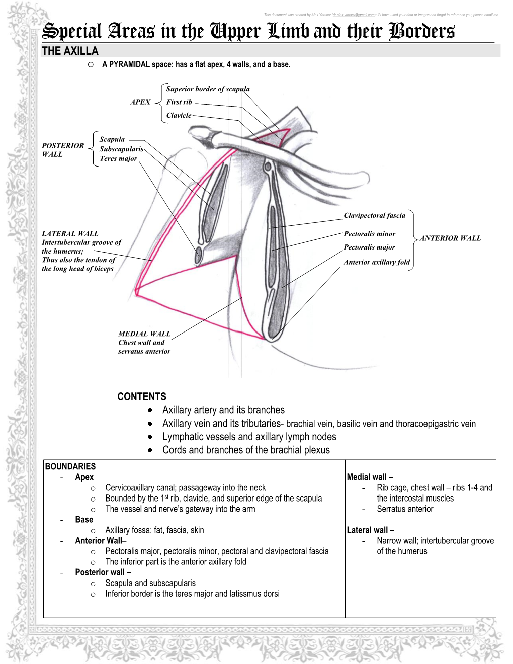 Special Areas in the Upper Limb and Their Borders the AXILLA O a PYRAMIDAL Space: Has a Flat Apex, 4 Walls, and a Base