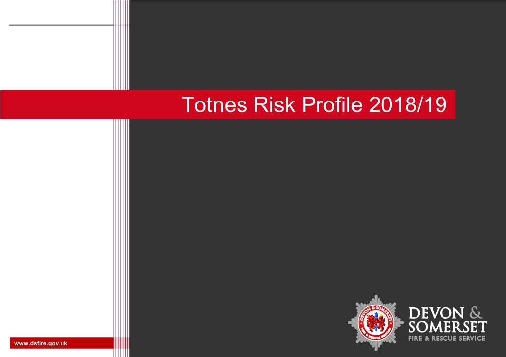 Totnes Risk Profile 2018/19 1