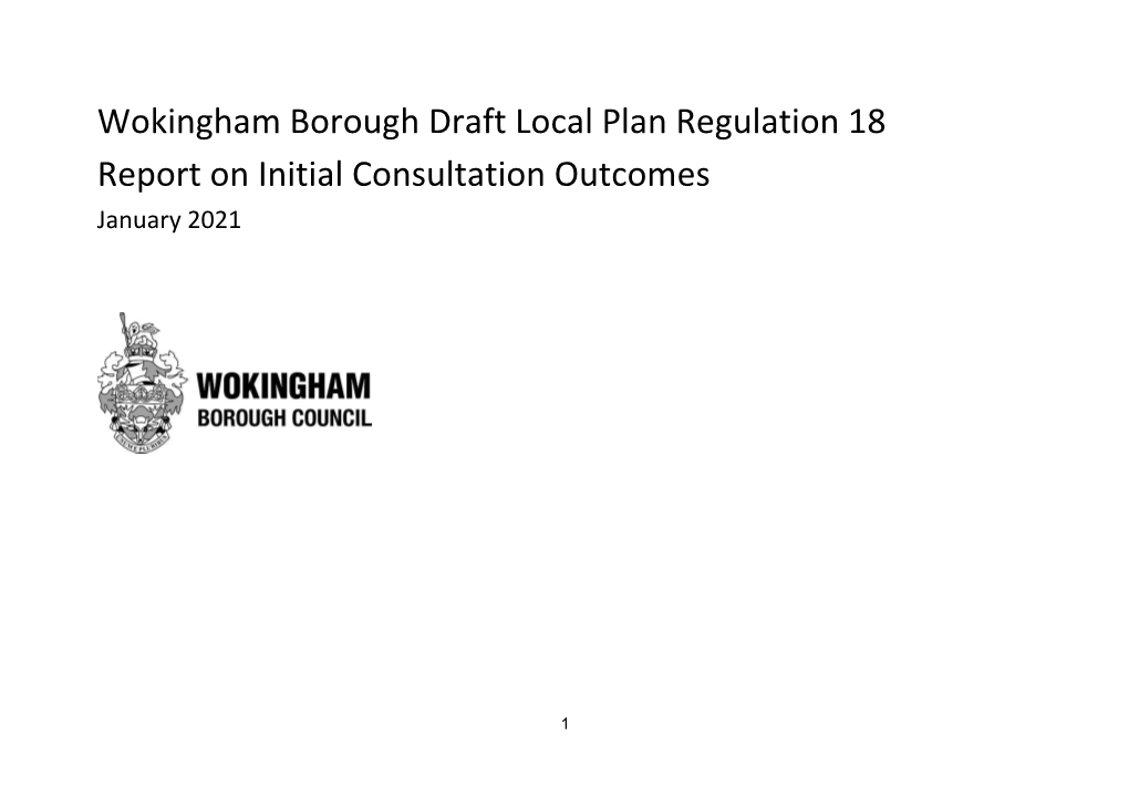 Draft Local Plan Regulation 18 Report on Initial Consultation Outcomes January 2021