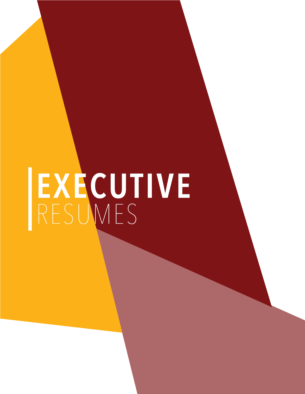 Executive Resume Book