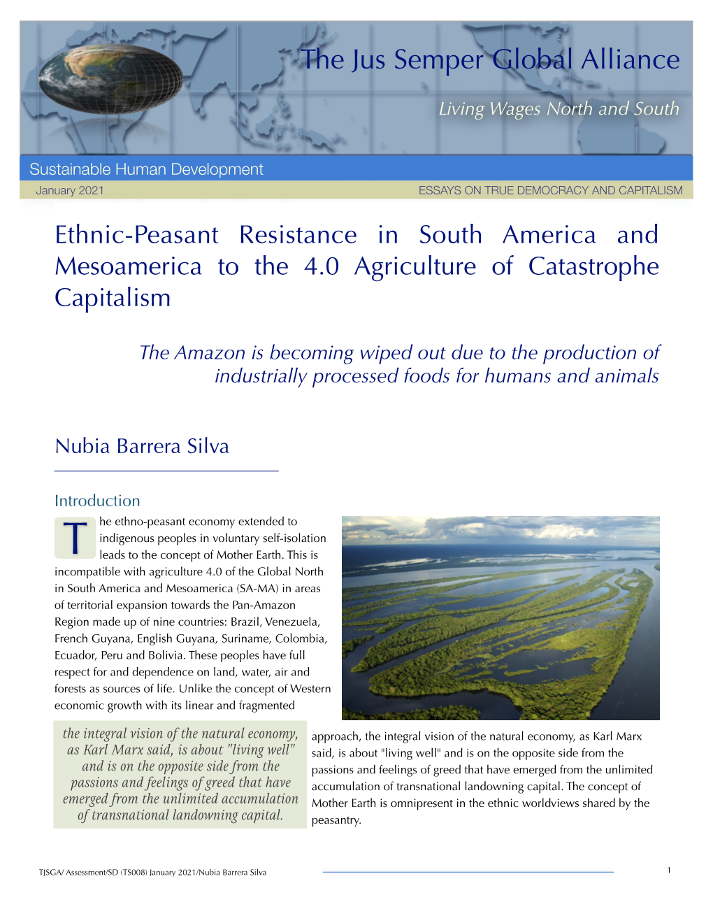 Ethnic-Peasant Resistance in South America and Mesoamerica to the 4.0 Agriculture of Catastrophe Capitalism