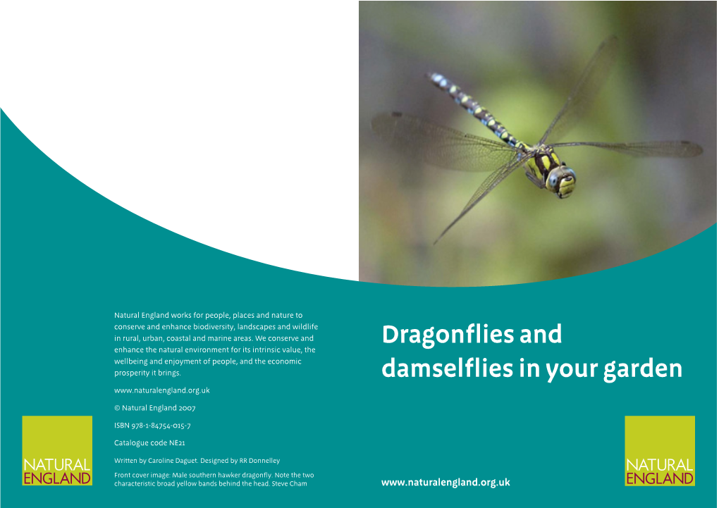 Dragonflies & Damselflies in Your Garden