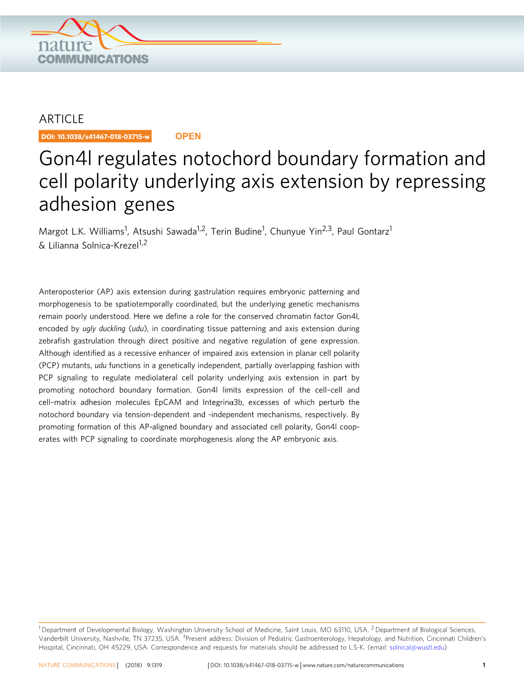 Gon4l Regulates Notochord Boundary Formation and Cell Polarity Underlying Axis Extension by Repressing Adhesion Genes