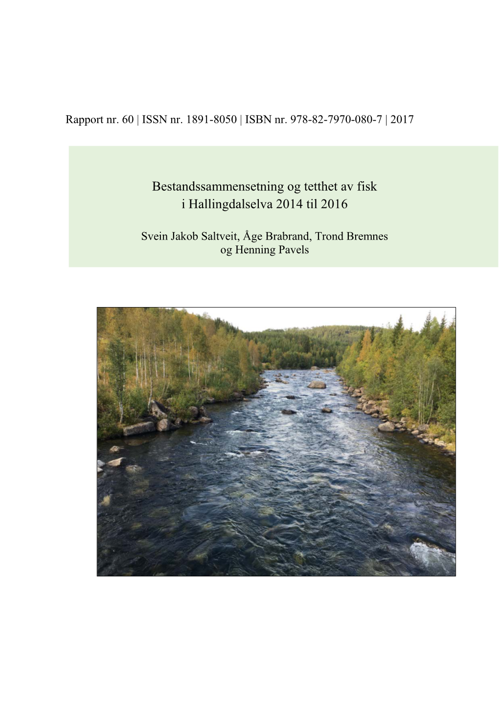 Bestandssammensetning Og Tetthet Av Fisk I Hallingdalselva 2014 Til 2016