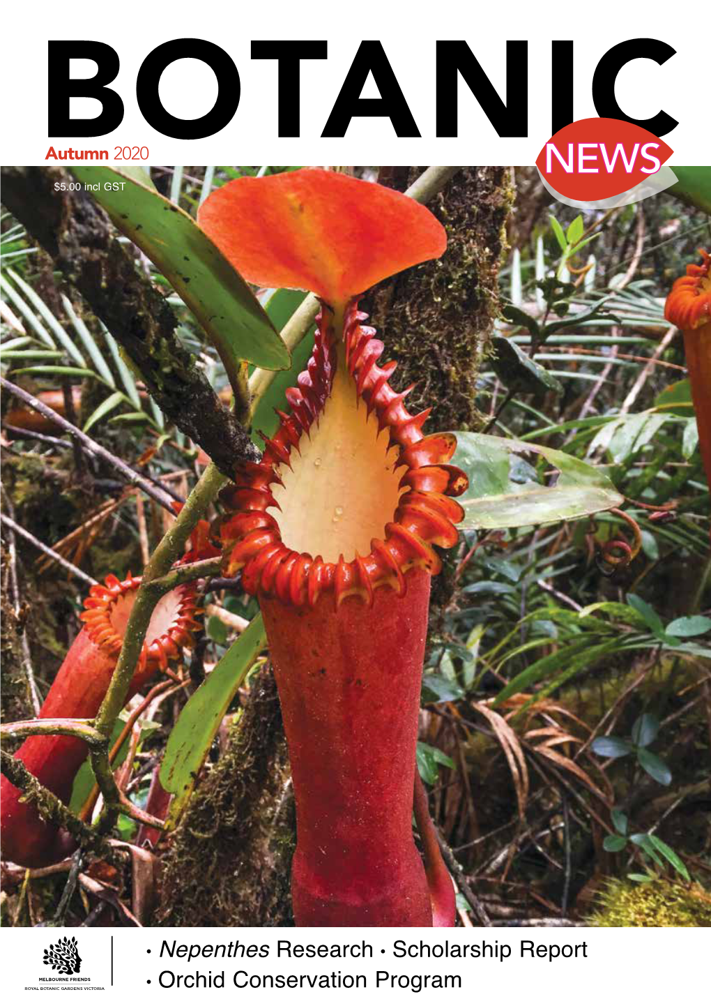 Nepenthes Research Scholarship Report Orchid Conservation Program