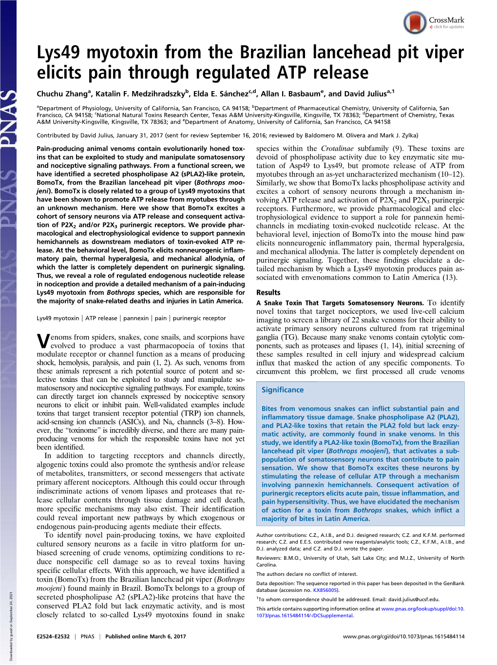 Lys49 Myotoxin from the Brazilian Lancehead Pit Viper Elicits Pain Through Regulated ATP Release